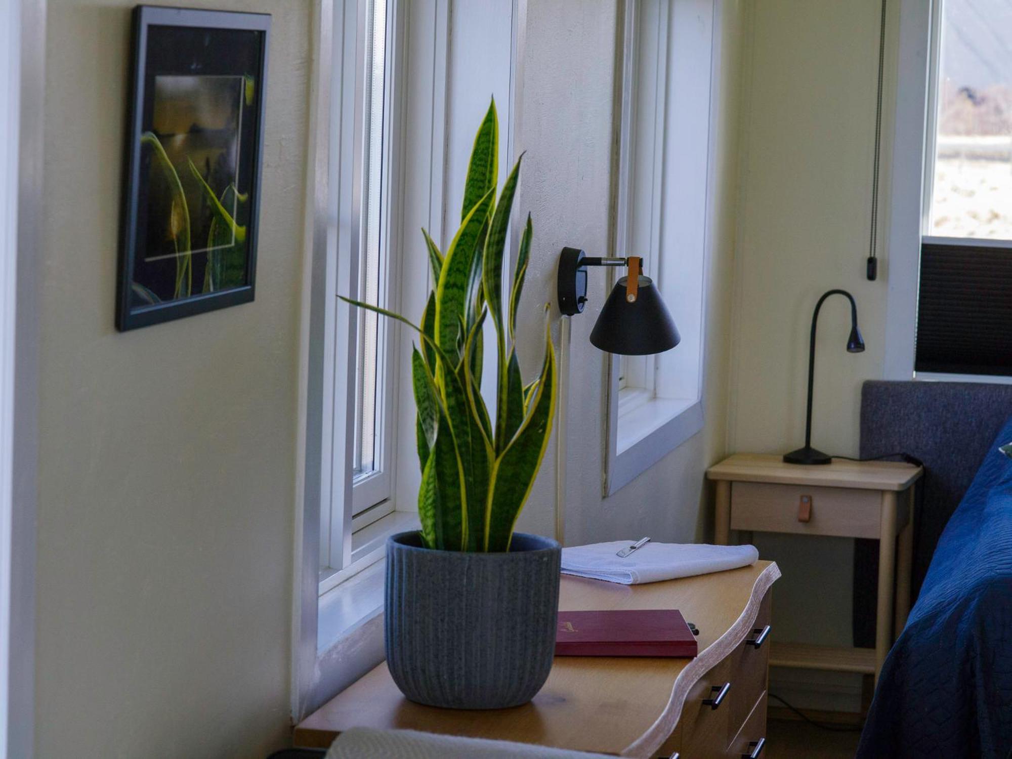Myvo The Studio Apartment At Geiteyjarstroend 4 Reykjahlíð Dış mekan fotoğraf